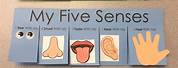 Printable 5 Senses Flip Book