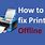 Printer Offline Windows 10