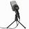 Professional Music Recording Microphone