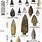 Projectile Point Chart