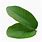 Psidium Leaf