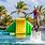 Punta Cana Attractions