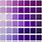 Purple Color Scale