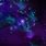 Purple Galaxy iPhone Wallpaper