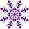 Purple SnowFlakes