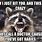 Rabid Raccoon Meme