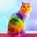 Rainbow Cat Art