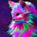 Rainbow Kitten Wallpaper