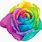 Rainbow Roses Clip Art