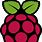 Raspberry Pi Logo Vector