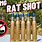Rat Shot Meme Ammo