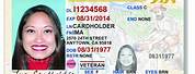 Real ID DMV CA Online