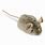 Realistic Mouse Cat Toy
