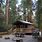 Redwood Forest Cabins