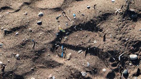 Reporter exposes problem with commonplace items found on beaches: '[It] is really damaging'