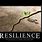 Resilience Funny