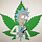 Rick N Morty Weed