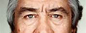 Robert De Niro Eye Color