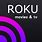 Roku Cast App