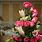 Roses Arrangements Ideas