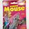 Rubber Mouse Toy
