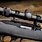 Ruger 10/22 with Scope
