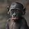 Sad Bonobo