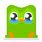 Sad Duolingo Owl