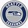 Seahawk Seattle NFL Logo