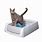 Self-Cleaning Litter Boxes for Cats