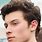 Shawn Mendes Earring