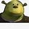 Shrek Meme Picture