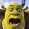 Shrek Memes Clean GIF