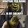Shrek My Swamp Meme