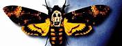 Silence of the Lambs Poster Moth