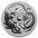 Silver Dragon Coin