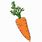Simple Carrot Drawing