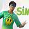 Sims 5EA