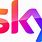 Sky Group Logo