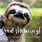 Sloths Morning Meme