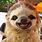 Smiling Sloth Meme
