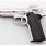 Smith and Wesson Model 4506