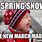 Snow in Spring Meme