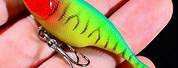 Soft Fishing Lure with Hook