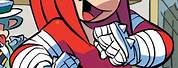 Sonic Boom Comics Knuckles