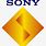 Sony Computer Entertainment PlayStation Logo