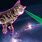 Space Cat Laser Eyes