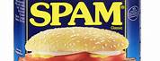 Spam Can Food