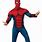 Spider-Man Halloween Costume