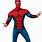 Spider-Man Original Costume